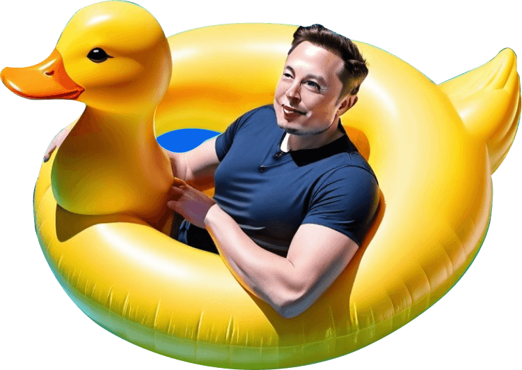 Hero duck image