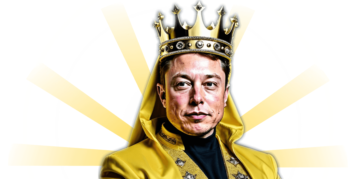 Elon Musk image